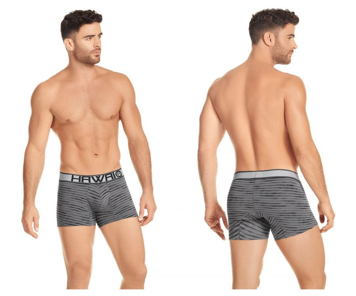 clever moda HAWAI 41972 Boxer Briefs Color Gray