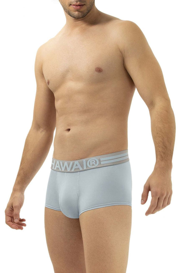 Clever Moda HAWAI 41961 Microfiber Briefs Color Light Blue