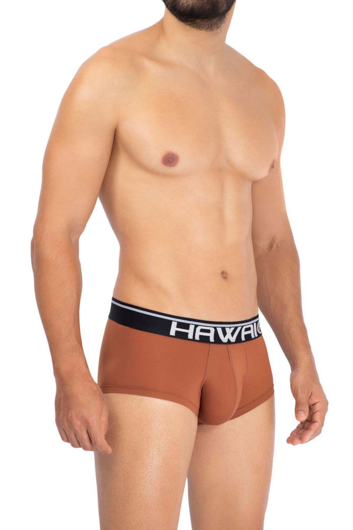 Clever Moda HAWAI 42181 Solid Microfiber Briefs Color Amber