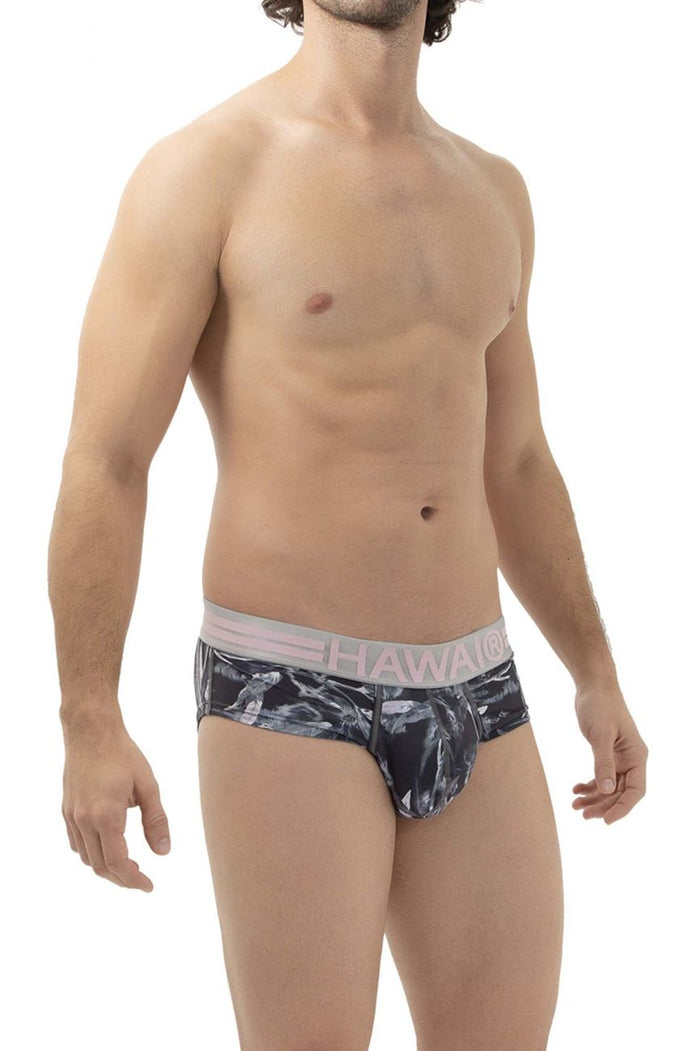 Clever Moda HAWAI 42240 Microfiber Briefs Color Gray