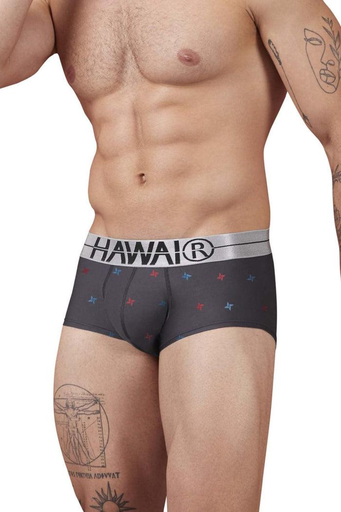 Clever Moda HAWAIR 42530 Printed Microfiber Briefs Color Gray
