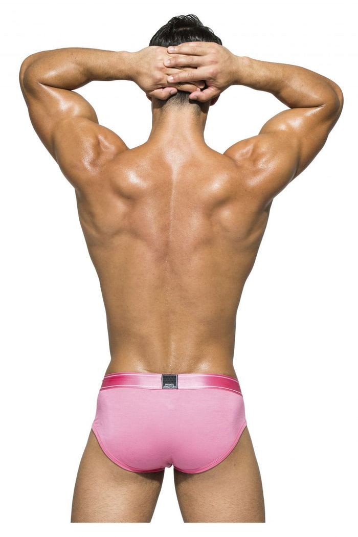 Clever Moda Private Structure PBUZ3748 Platinum Bamboo Contour Briefs Color Blush