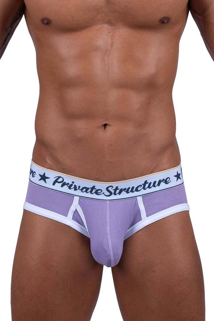 Clever Moda Private Structure SCUS4529 Classic Mid Waist Mini Briefs Color Purple