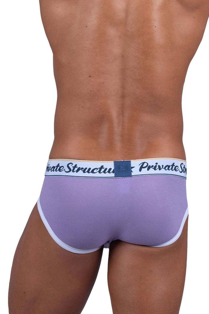 Clever Moda Private Structure SCUS4529 Classic Mid Waist Mini Briefs Color Purple
