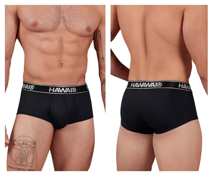 clever moda HAWAIR 41961 Microfiber Briefs Color Black
